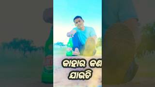 ପିଉ ଚି ପିଉ ଚି କାହାର କଣ ଯାଉଚି odia short #odiavirl video song #manoj #funny #odiasatatus #manoj dj