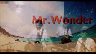 ソウルソウス - Mr. Wonder - 2013/06/28 倶楽部Z