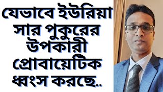 যেভাবে ইউরিয়া সার পুকুরের উপকারী প্রোবায়েটিক ধ্বংস করছে।