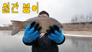 맑은 얼음 아래 대물 붕어들이 다닌다! 낚시로는 잡아보지 못할 붕어를 얼음치기로 잡아보자!