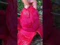 Dragon fruit #fruitcutting #shortfeed #viral #fruits #shortvideo