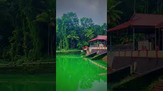 #temple #Cheruvally_devi_temple_Kanjirappally_Kottayam