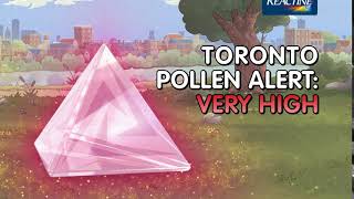 Reactine Pollen Alert Toronto - Very High