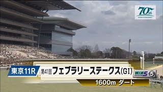 2024 第41回フェブラリーステークス〔GⅠ〕本馬場入場