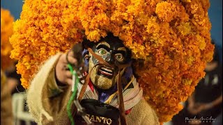 Tlacololeros Santo Tomás | Recorrido en honor al Señor de las Misericordias | 01 Febrero 2025 🐶🐯❤️