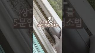 창틀 청소 5분안에 해결 당신의 선택은? 2가지 도구 청소법 #창틀청소 #청소브이로그 #다이소추천템 #살림노하우