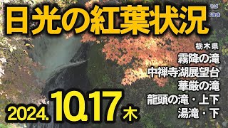 【紅葉状況2024年・日光】10月17日撮影　龍頭の滝 霧降の滝 華厳の滝 など　栃木県　日光市