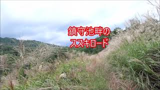 2021年9月26日　岡山県津山市　山形仙