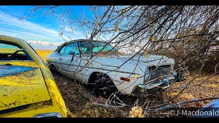 EP 40 FOUND:1973 340 Dodge Dart Sport in the trees. SOLD the Demon and picked up some other projects