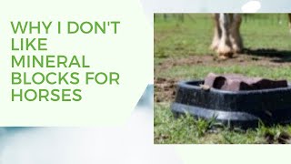 Why I don't use salt blocks and mineral blocks for horses