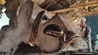 Shocking discovery of giant root tree at lumber mill || Sawmills