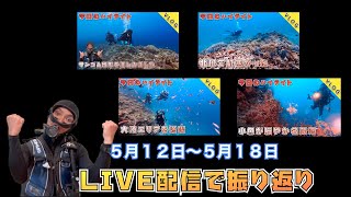 🐠２０２４年５月１２日〜５月１８日のダイビングを振り返ります🐠