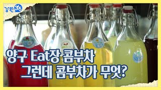 [강원365]양구 eat장에서 콤부차 한 잔?