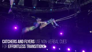 The Flying Trapeze - Ringling Bros. and Barnum & Bailey