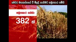 මෙවර මහකන්නයේ වී මිලදී ගැනීමට සමූපකාර සමිති | Ru News