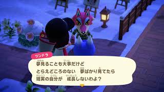 【あつ森】ブーケとツンドラの会話