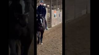 it was so cold you can see our breath 🤣😭 but corwin was so cute and perfect 💕 #fyp #horse #equine