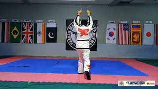 Taekwondo Freestyle Poomsae - World Taekwondo Poomsae - 2025