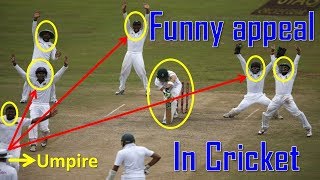 #Top 5 Most Funny Appeals by Bowlers in Cricket History || unbelievable funny Cricket