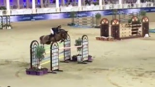 Citizenguard Taalex CSI5* Doha 1M55