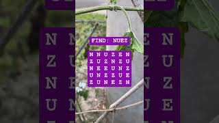 Observation Visual Test: 5 Seconds For You To Spot NUEZ. Try Your Skills!  #search #puzzle #shorts