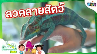 ลวดลายสัตว์ : บ้านนักวิทยาศาสตร์น้อย (5 ก.พ. 65)