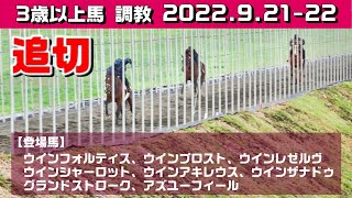 【3歳以上馬　調教】2022.09.21-22【坂路・トラック】入厩を控えた競走馬の追い切り