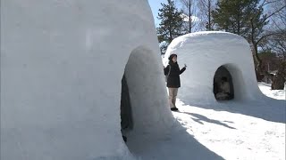 「横手のかまくら」多くの観光客でにぎわう　秋田県横手市 (25/02/15 18:00)