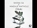 Shona SA & Mwenje Mathole   CDR018  PROMO VIDEO [CelsiusDegreeRecords2020]