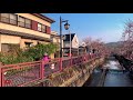 sakura some cinematic shoot cherry blossom in japan 2021