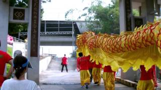 2016元朗屏山鄉鯉魚山天后寶誕 - 橫洲東頭圍金龍 3