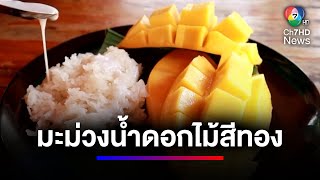 ออร์เดอร์เพียบ ! มะม่วงน้ำดอกไม้สีทองนอกฤดู รายได้ดี | สนามข่าวเสาร์-อาทิตย์