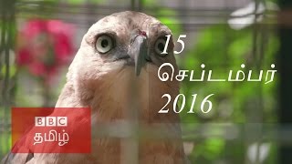 BBC TAMIL TV NEWS 15/09/2016 பிபிசி தொலைக்காட்சி செய்திகள் 15/09/2016