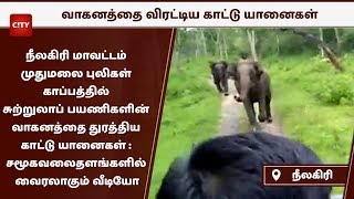 நீலகிரியில் சுற்றுலாப் பயணிகளின் வாகனத்தை துரத்திய யானைகள் : சமூகவலைதளங்களில் வைரலாகும் வீடியோ