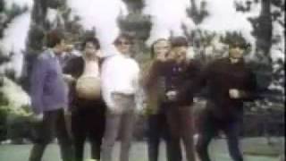 The Turtles - Happy Toghether