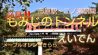 【叡山電車 もみじのトンネル】えいでん…メープルオレンジきらら号の前面展望…。叡山電車鞍馬線・市原駅～二ノ瀬駅間の「もみじのトンネル」約２５０mを徐行運転します…。