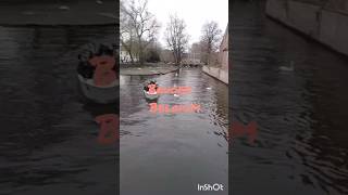 Beautiful Bruges canal view with ducks 😍 #bruges #belgium #nature #travel #explore #subscribe #like