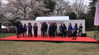 20160403所沢市民文化フェア3　We will rock you