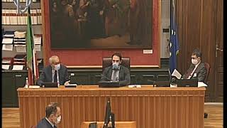 Roma - Legge elettorale Camera e Senato, audizione Pisicchio e Volpi (10.06.20)