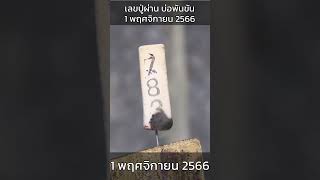 เลขปู่ผ่าน บ่อพันขัน 1 พฤศจิกายน 2566 #เลข #หวย #ปู่ผ่าน #บ่อพันขัน #พฤศจิกายน