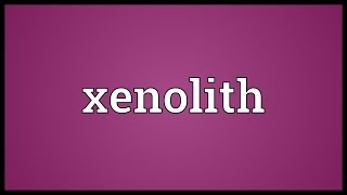 Xenolith Meaning