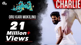 Charlie | Oru Kari Mukilinu Song Video | Dulquer Salmaan, Parvathy,Martin Prakkat | Official