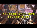 【モンハンライズ】驚異の会心率100% ネコ双剣装備を紹介 【双剣 解説】