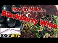 How to Make Blackberry Wine by Brewbitz Homebrew Shop