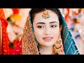 Pashto New Songs 2023 | Yo Zra Ba Dar Nem Kam | New Song | Pashto Dubbing Sing | New Song 2023