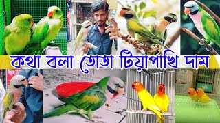 টিয়া পাখির হাট// Tia bird market ||কথাবলা তোতা টিয়াপাখি লাভবার্ডস পাখি দাম| mirpur 1 pakhir hat