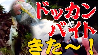 ヤバすぎる、これ！！！【琵琶湖遠征】【おかっぱり】【バス釣り】【ハニタスLR】