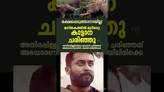 എന്തിന് വേണ്ടി ആണ് ഇവിടെ വനം വകുപ്പ് #elphents #athirappally #shorts #kodanadu #news #death #kerala