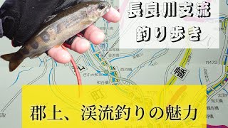 郡上、渓流釣りの魅力。長良川支流釣り歩き。