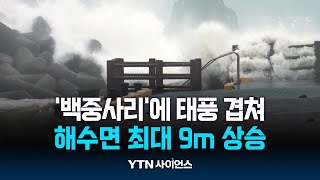 태풍은 약화했지만, 백중사리에 \